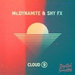 Ms Dynamite & Shy FX – Cloud 9